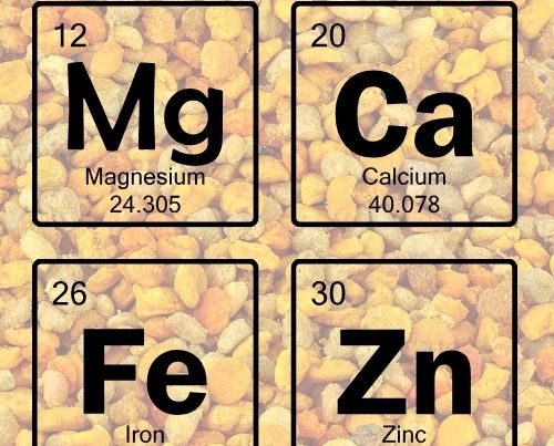 Mineral Deposu Polen, Magnezyum, Çinko, Demir, Kalsiyum